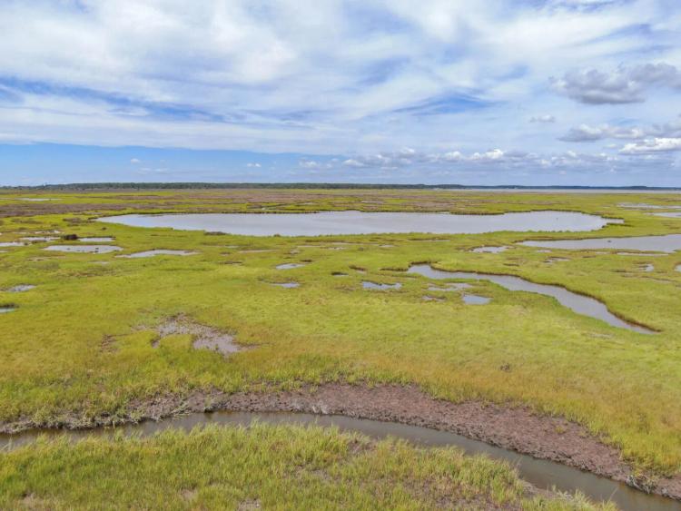 601.77 Acres at 2746 Calvary Road