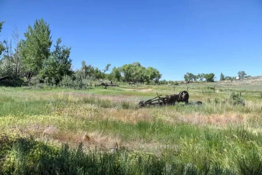 67046807-10