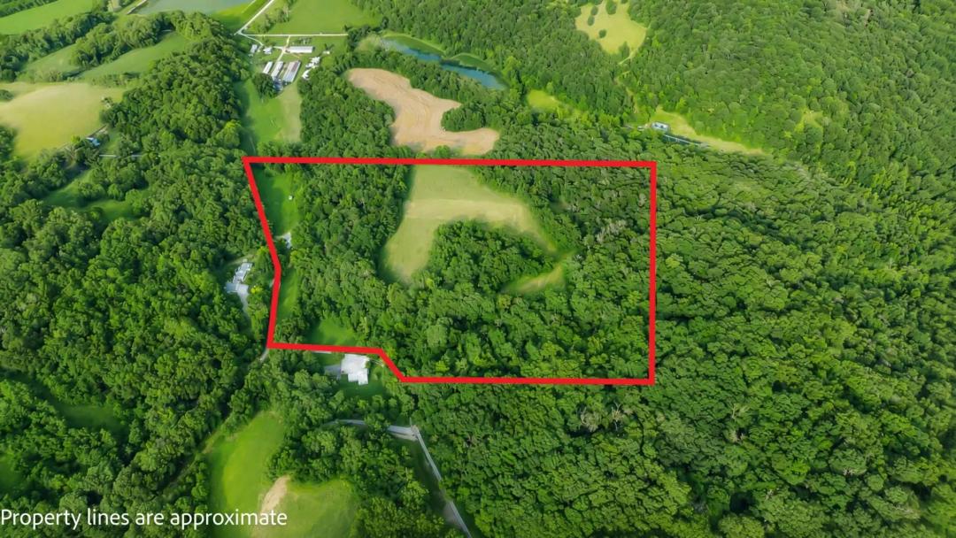Prime 40 Acre Hunting Farm in Calhoun County!