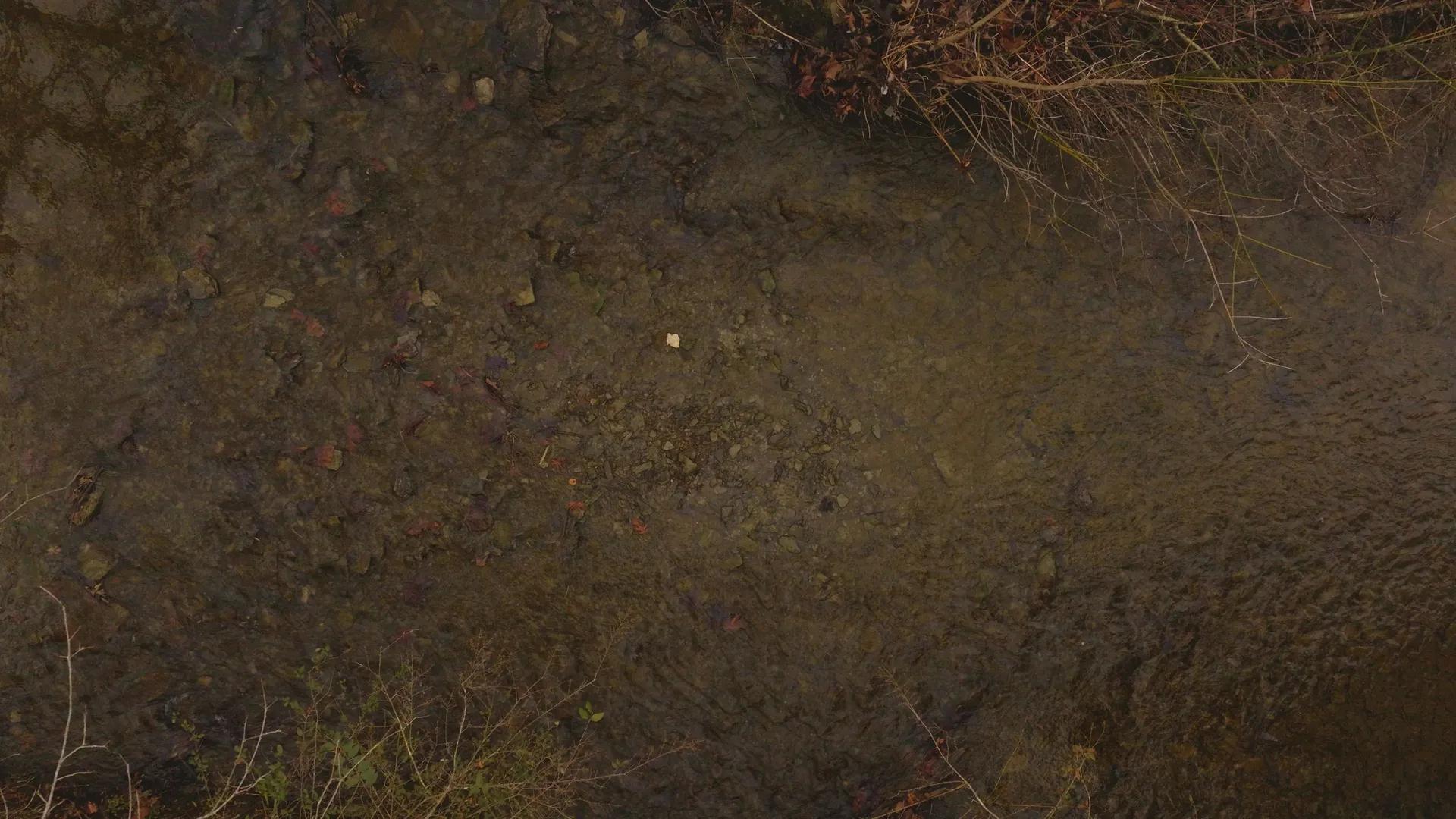 67086551-32