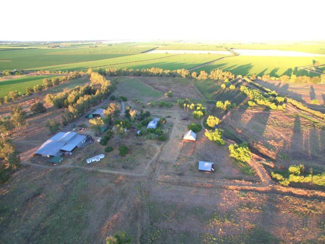 320 Acres of Organic Farmland in Woodland, California for Sale