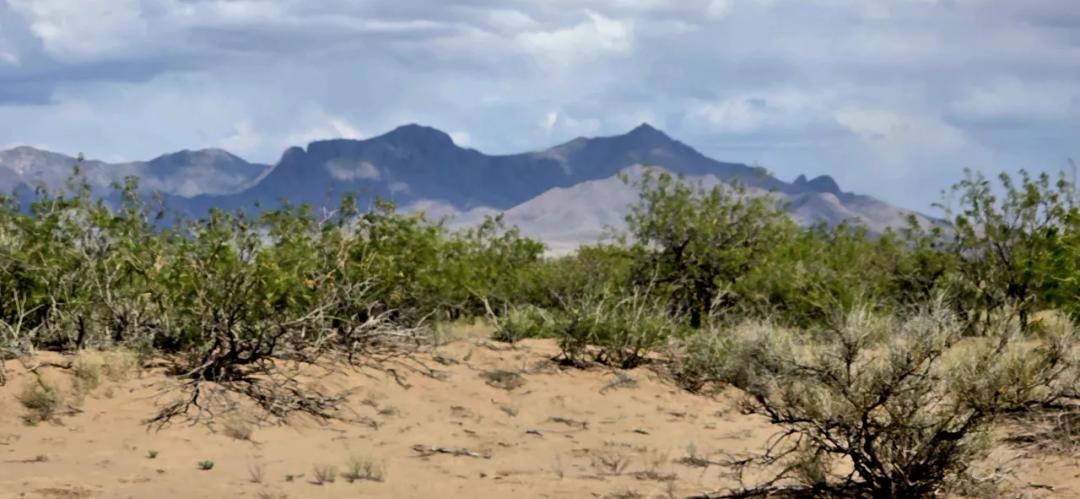 Residential Building Lot. Mobile OK. 15 minutes SW of Deming New Mexico