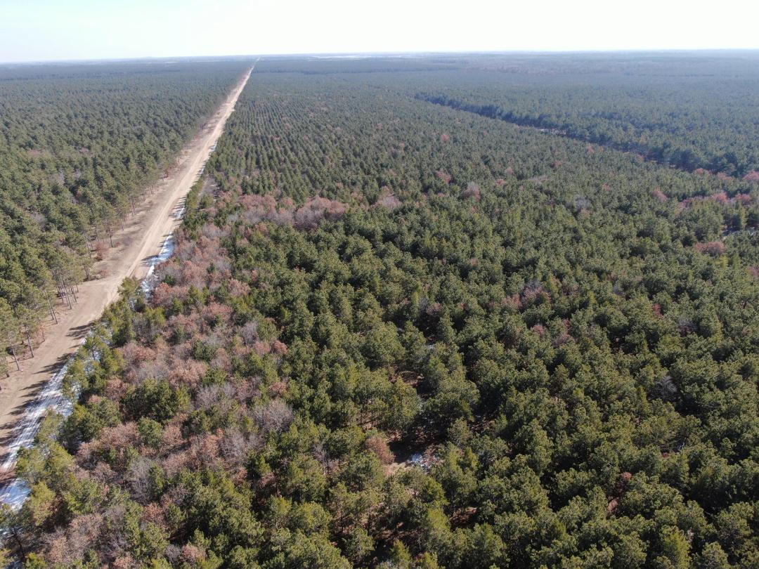 Corner Town of Rome 90 acre timber lot for sale in Adams County WI