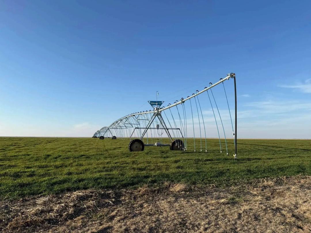 Sherman County Irrigated Farm