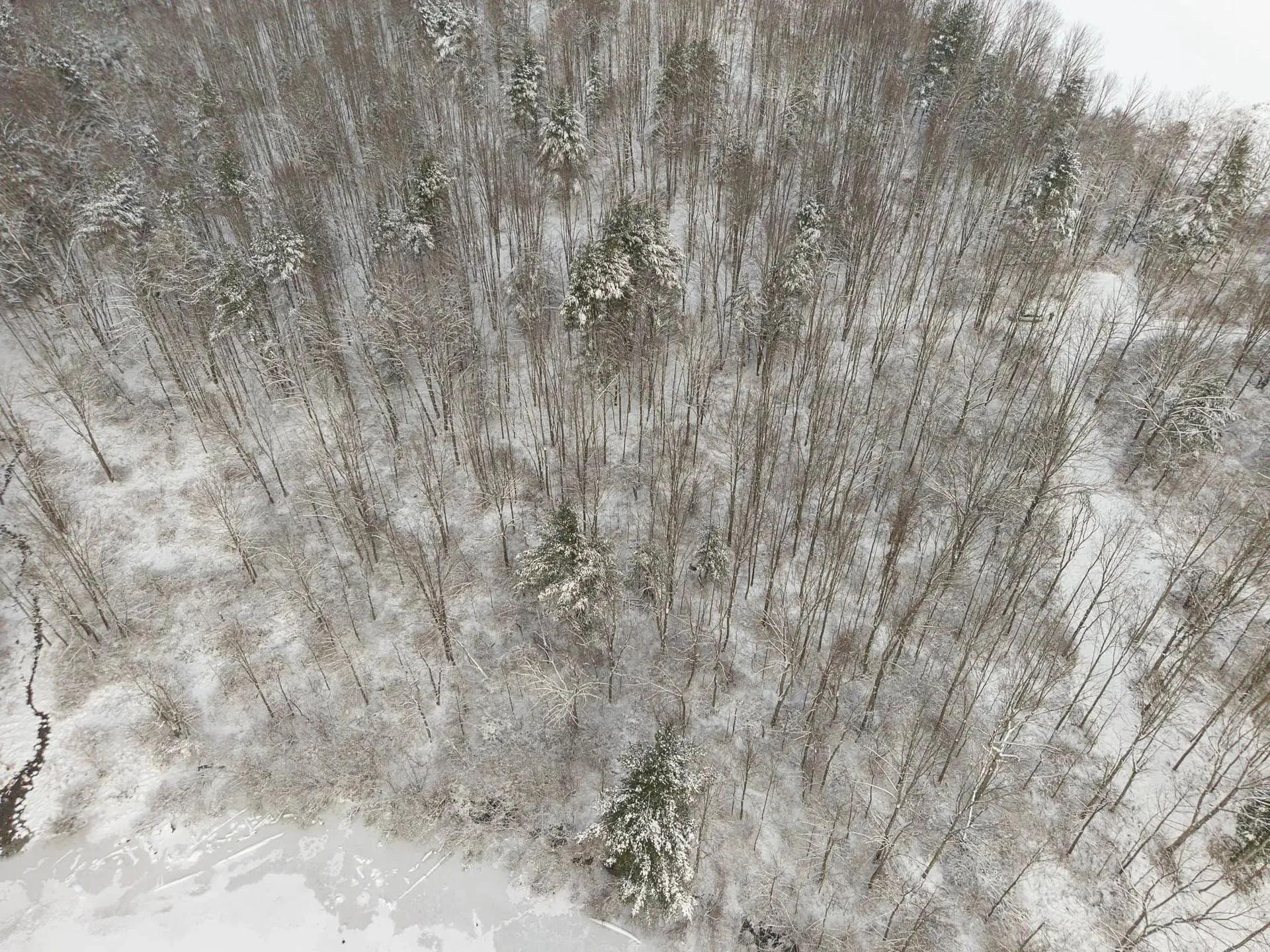 67215183-9