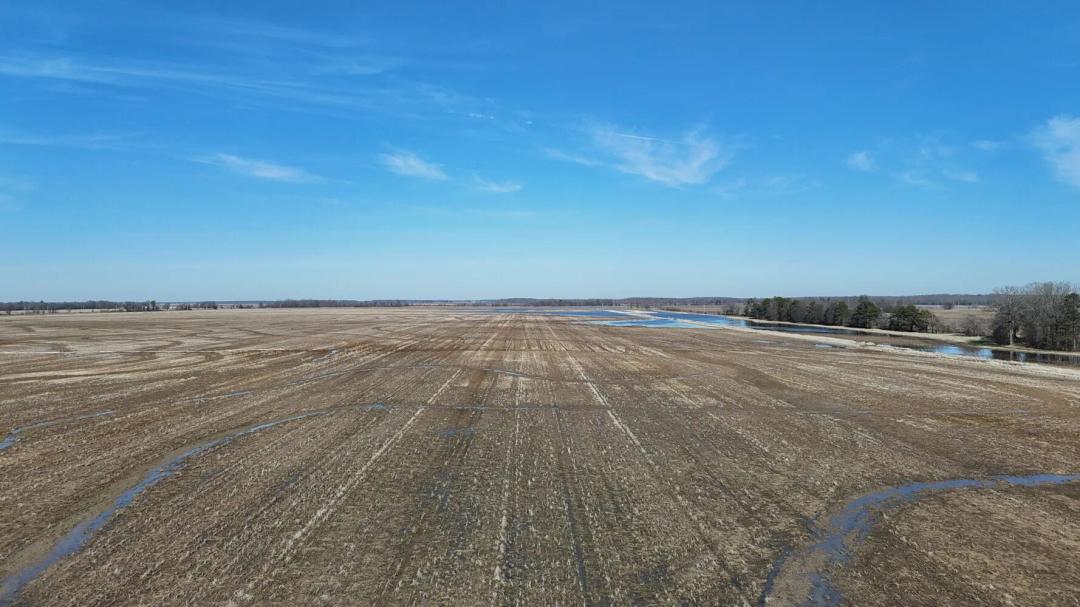 148.00 Acres at 0 Hwy 39, Tract 2