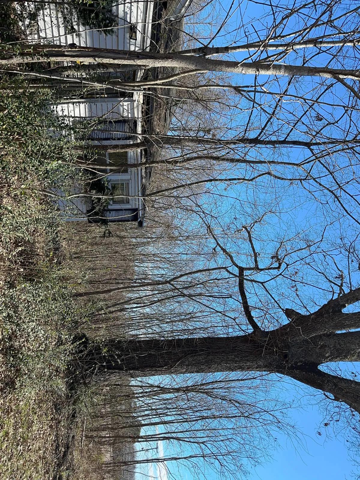 67287561-3