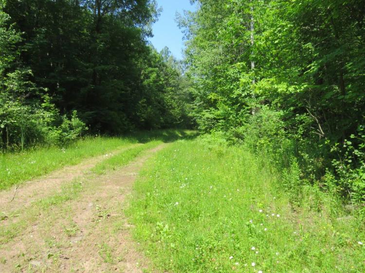 346.00 Acres at TBD Curlew Road