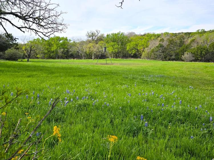Hunting Land in Lampasas - Smith Ranch 40 acres
