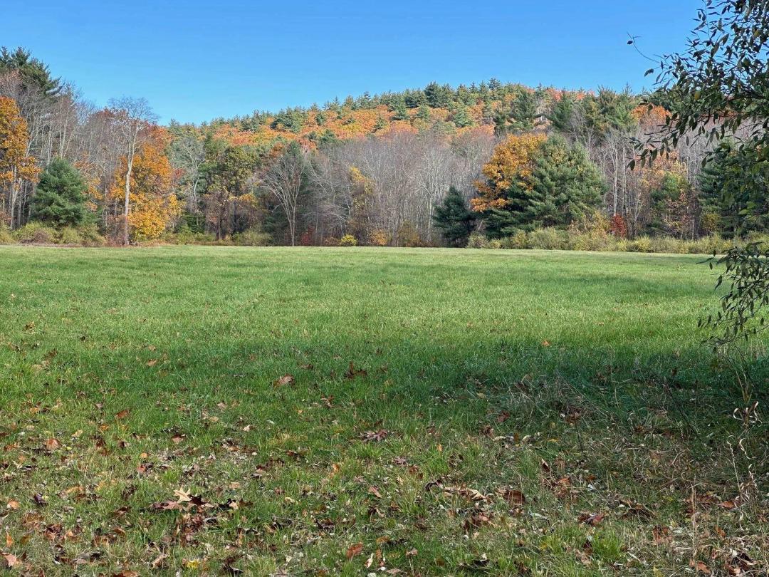 9.00 Acres at  Claude Road