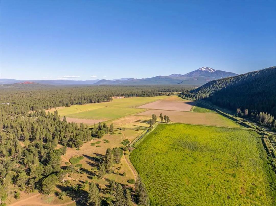 Black Ranch