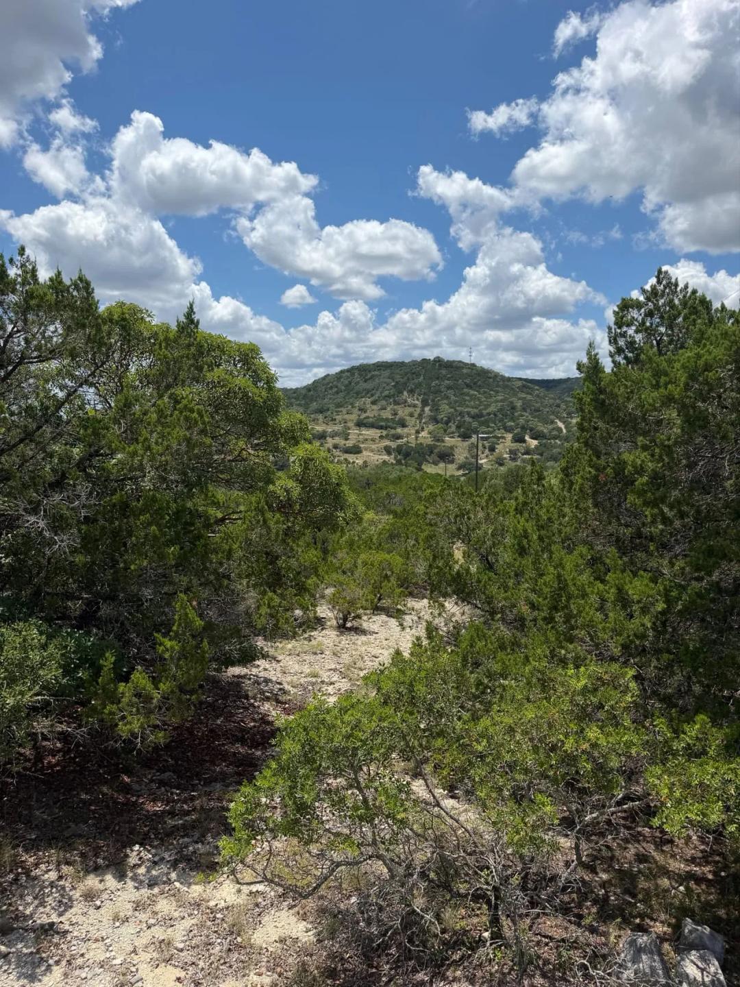 Madrone Ridge