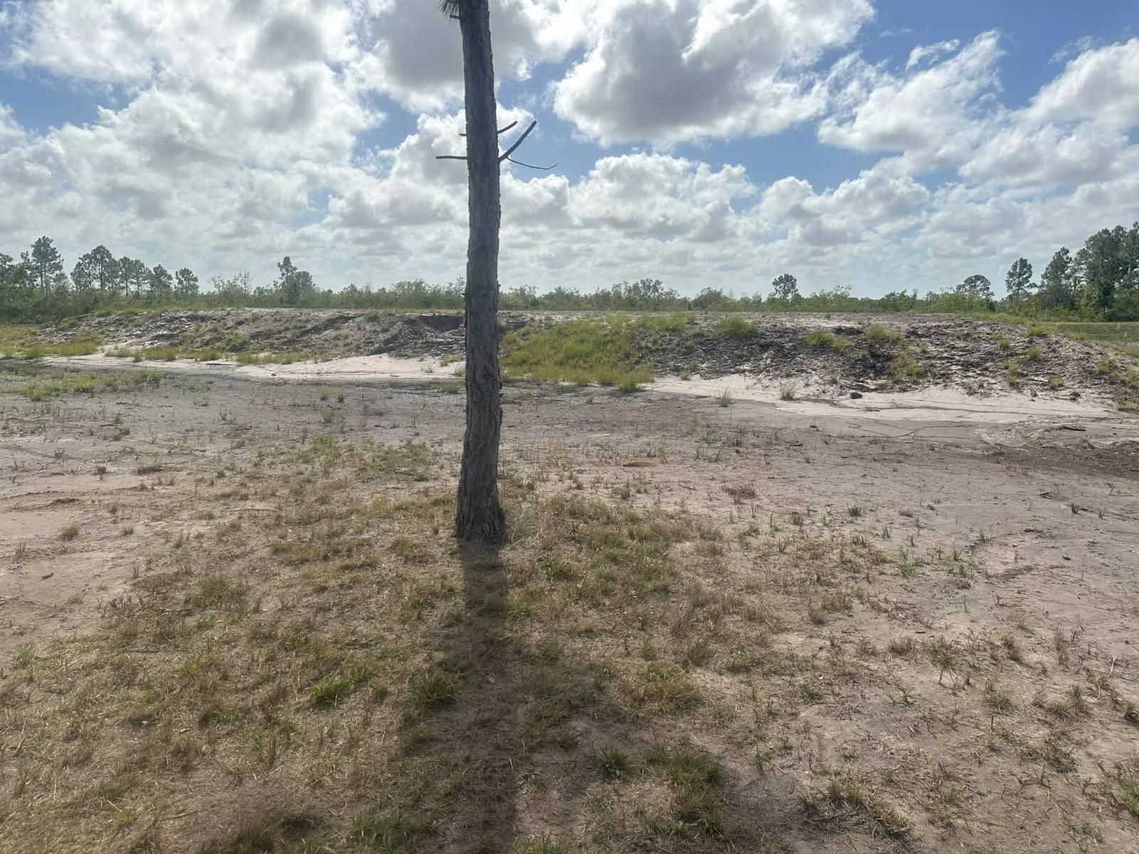 67376586-14