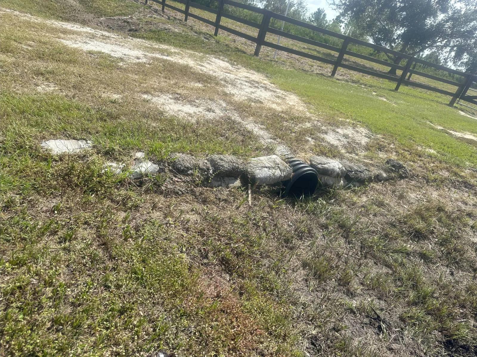 67376586-19