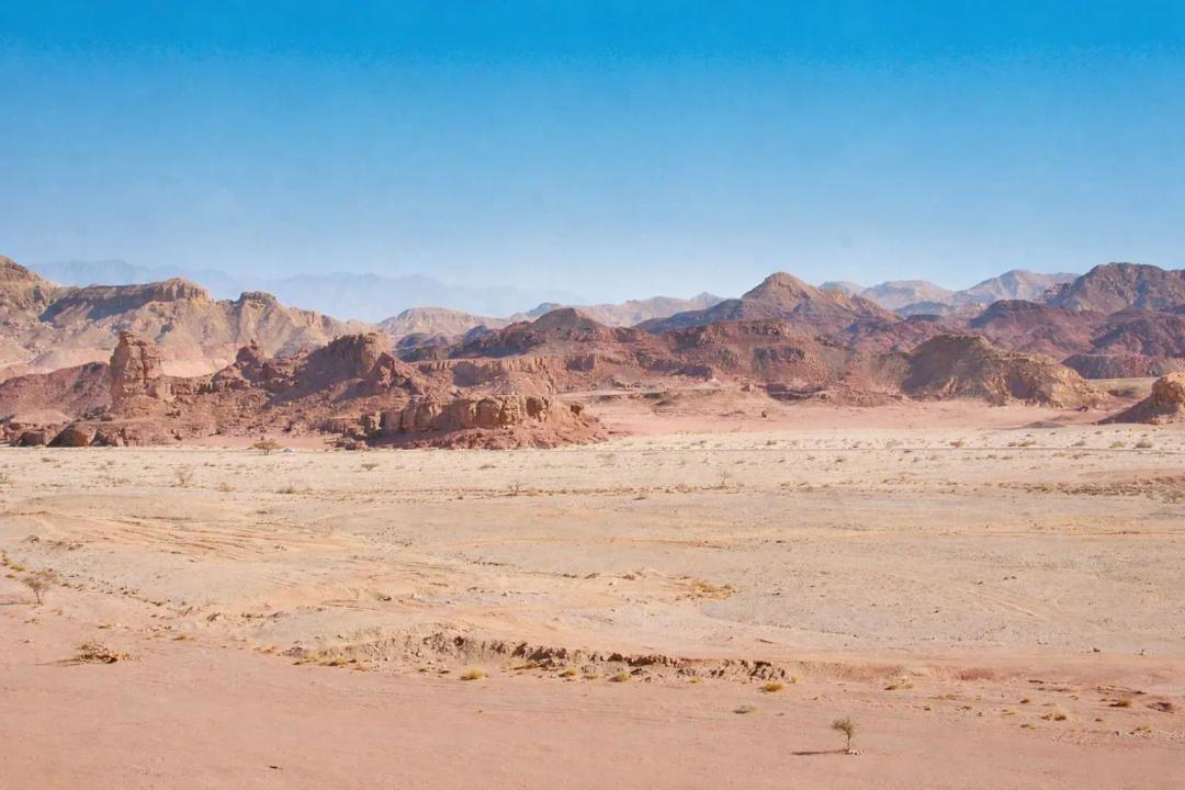 20 Acres, Lyon, NV, 012-112-10