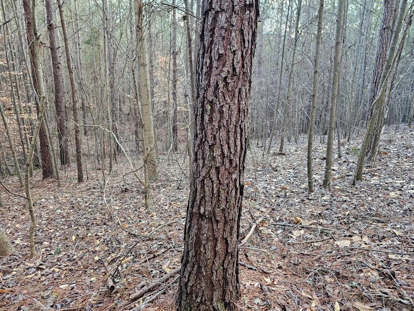 67404798-1