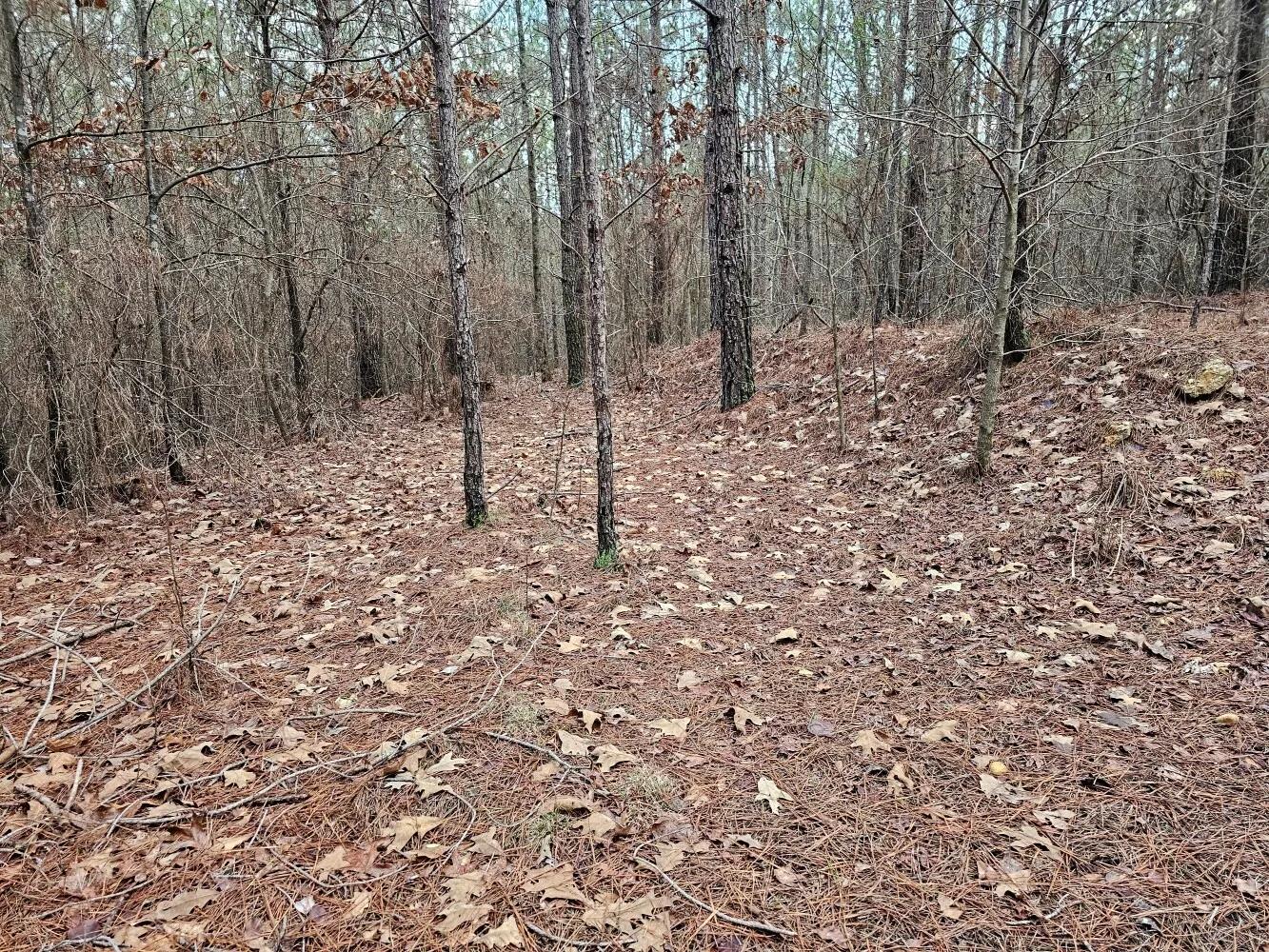 67404798-27