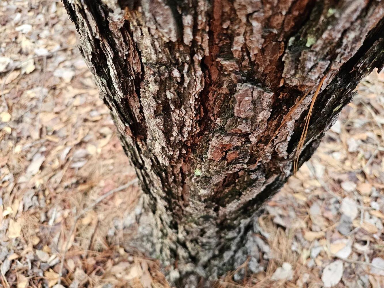 67404798-4