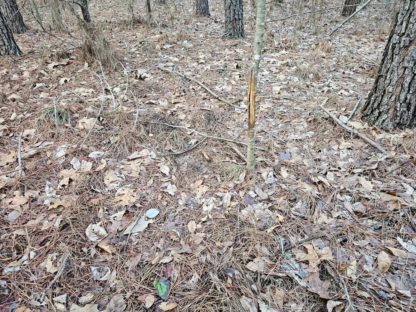 67404798-8