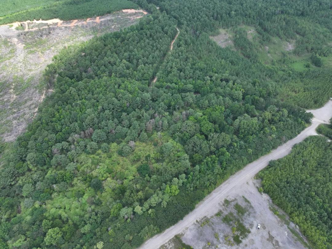 36.00 Acres at 0 Brookwood Rd
