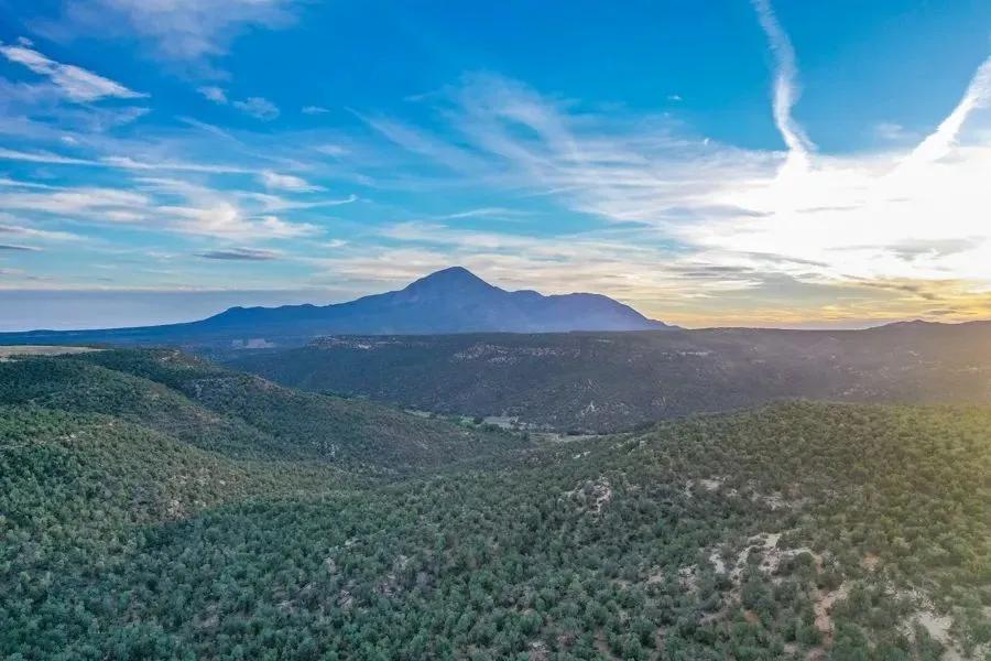 75 Acres of Vacant Land for Sale in Cortez, CO - Dream Homesite!