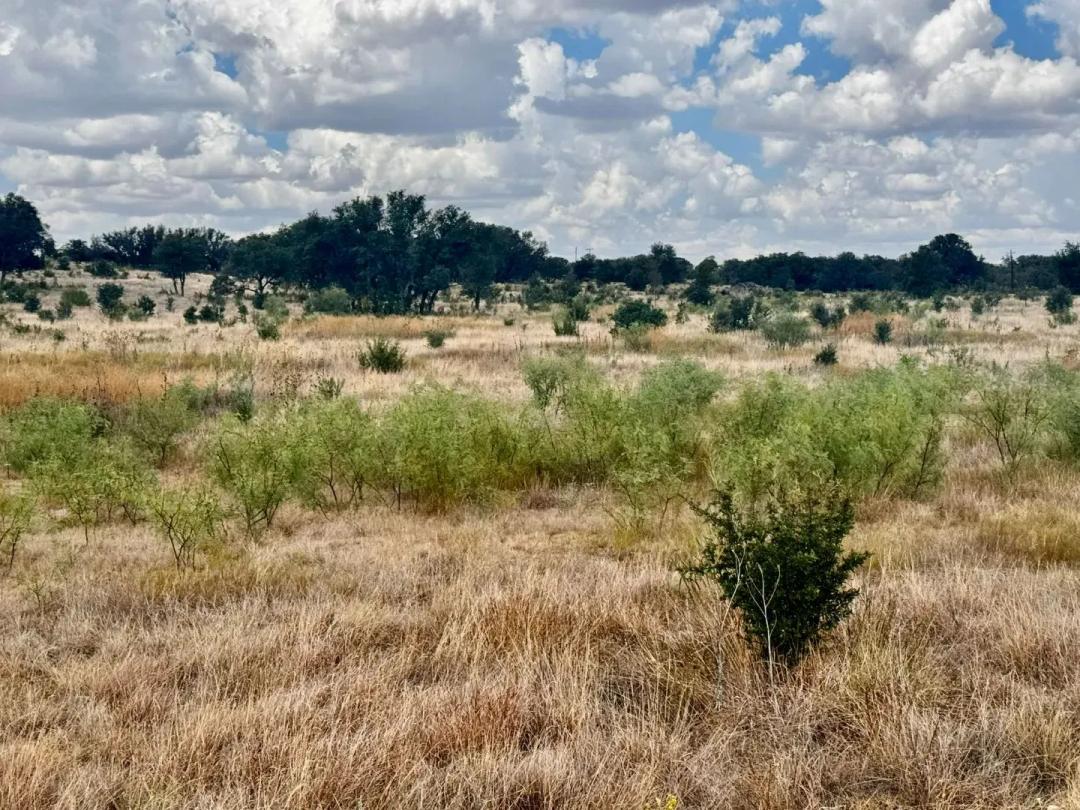 NEW LISTING!! 55 +/- Ac 166 PR 2621, Blackwell