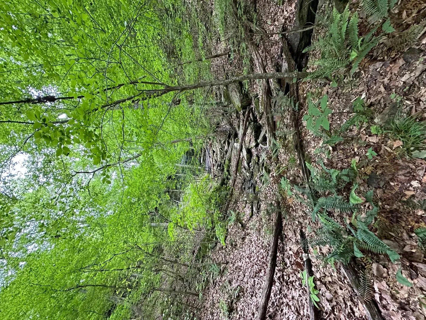 67526773-15