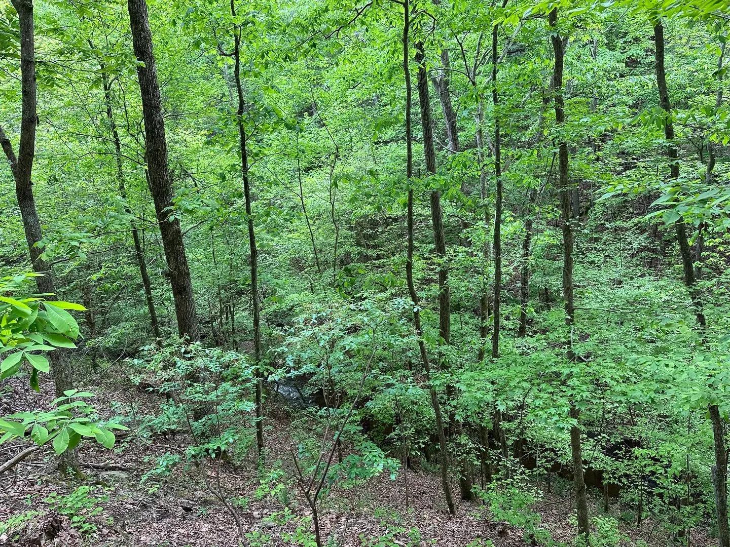 67526773-28