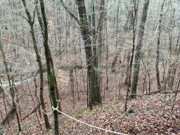 67526773-7