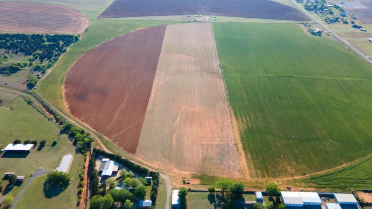 127.00 Acres at 10029 Lark Rd