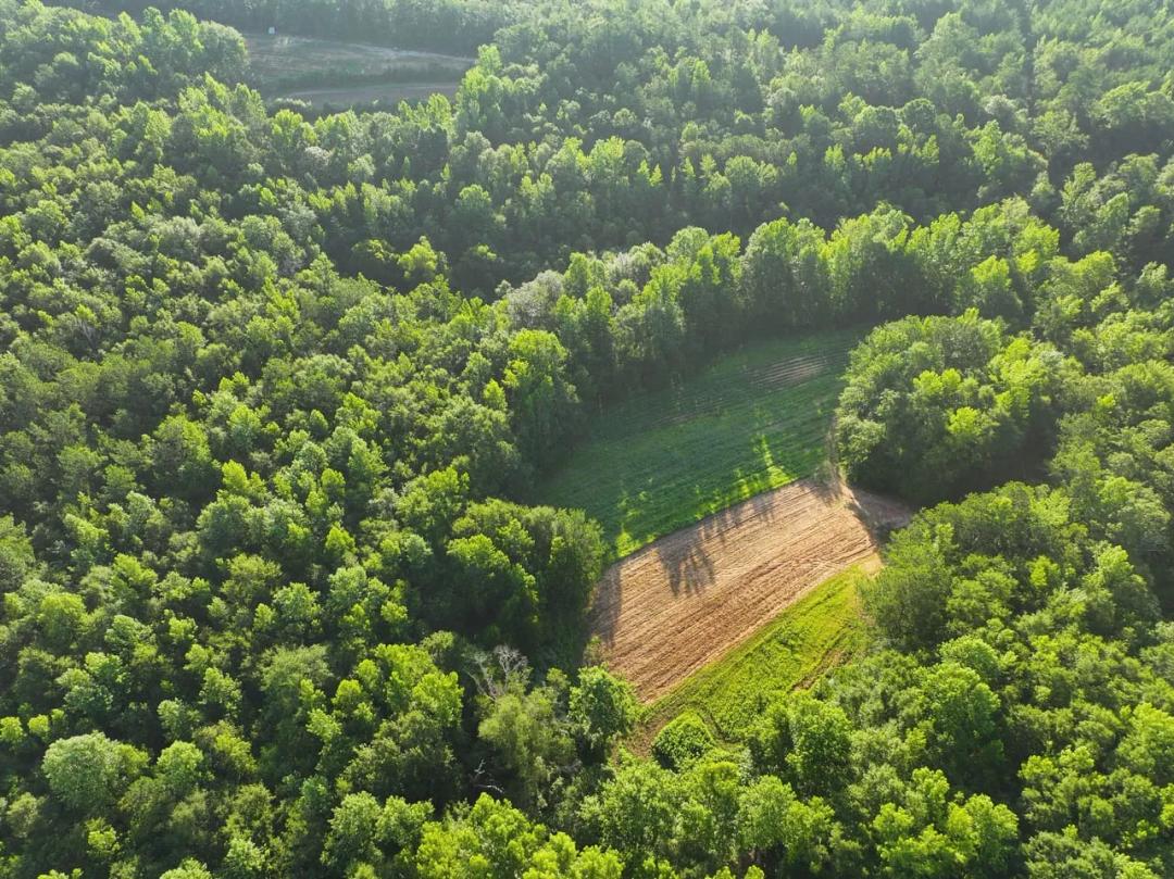 Multiple Homesites and Premium Hunting/Recreational Retreat