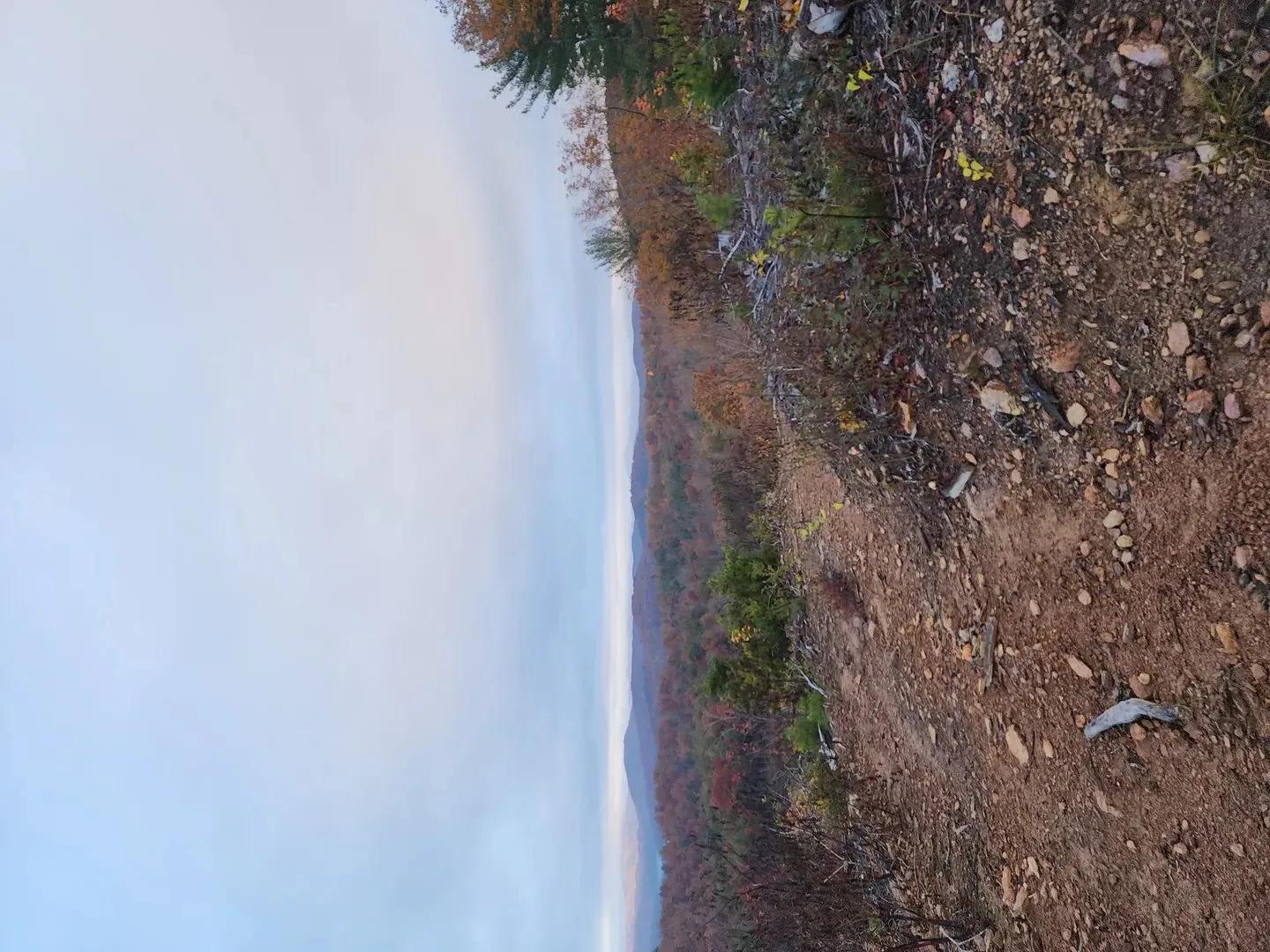 67594884-10