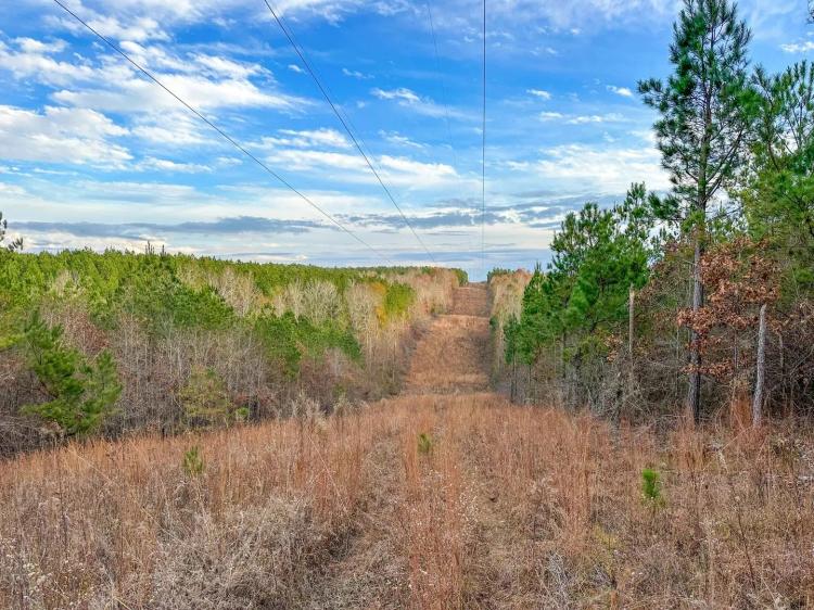 41+/- Acre Homestead / Hunting &amp; Timber Investment Coosa Co