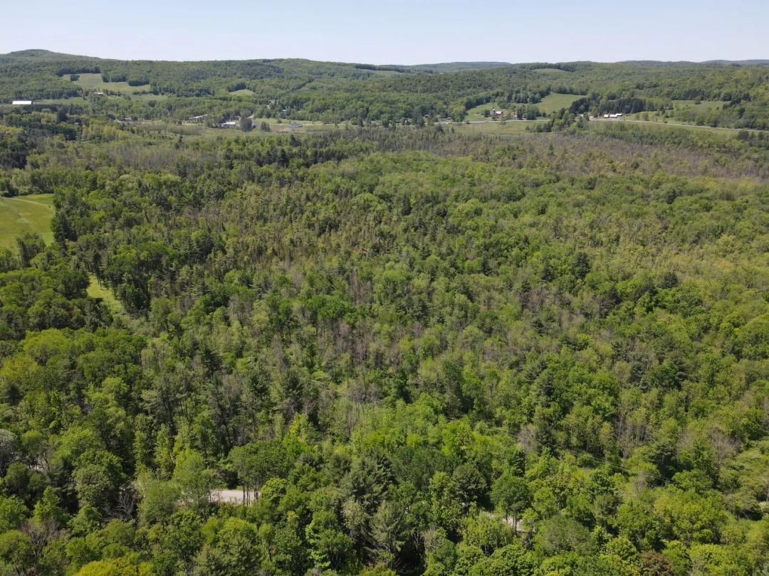 Nearly 12 Acre Building Lot Just Outside Cooperstown