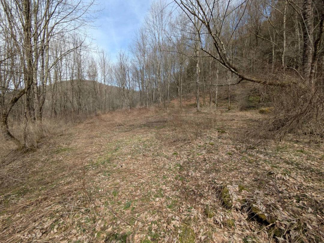 Colchester Value: 18 wooded Acres/ 2 Hours from GWB/Low Taxes
