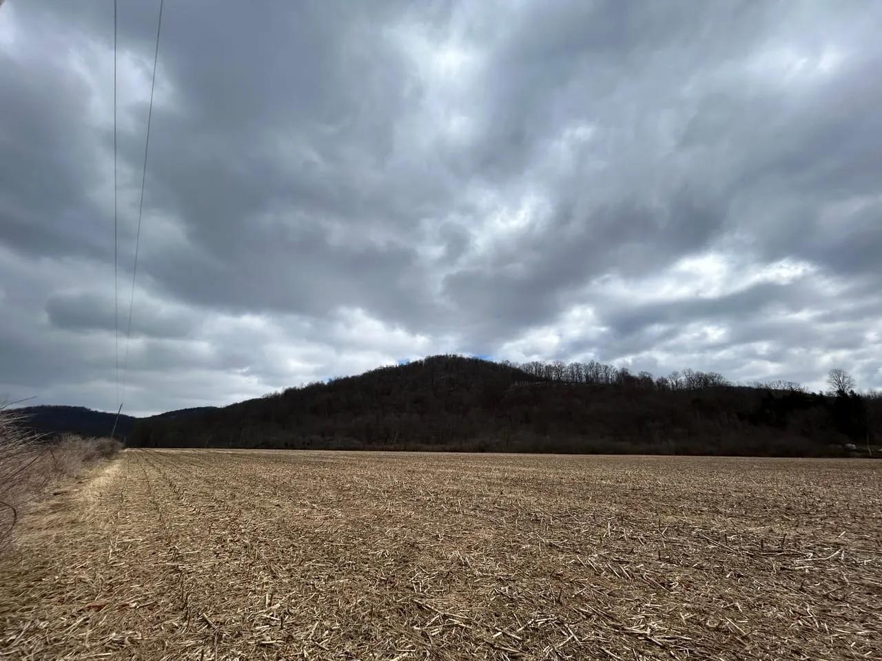 67638141-35
