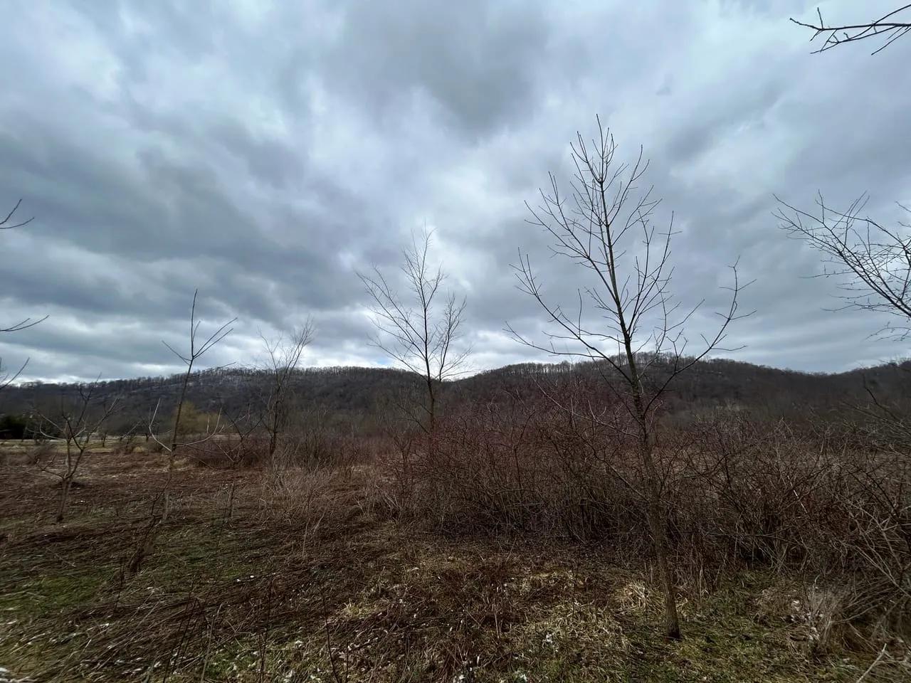 67638141-4