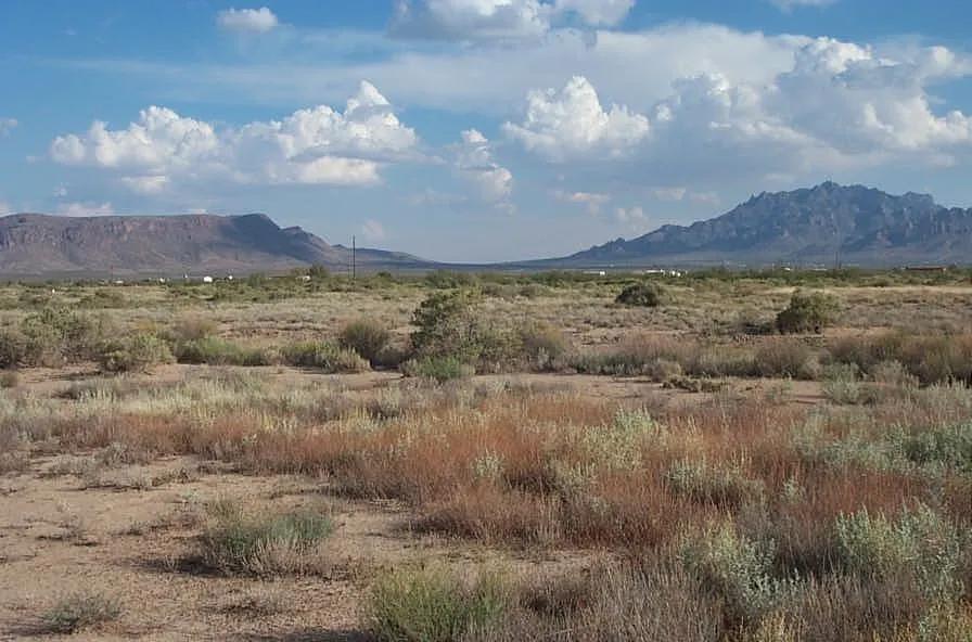 4 adjoining lots on the eastern outskirts of town. Easy access to Highway 549