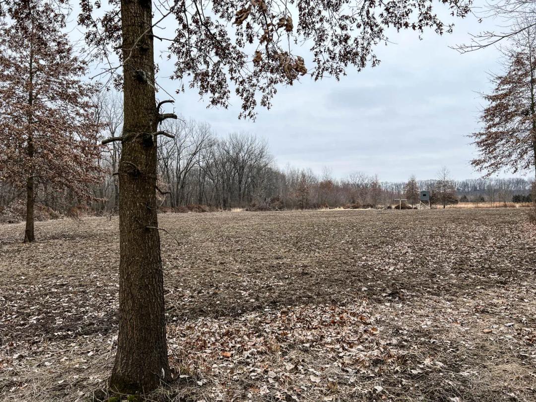 Hancock County, IL 68 Acres For Sale(SALE PENDING)