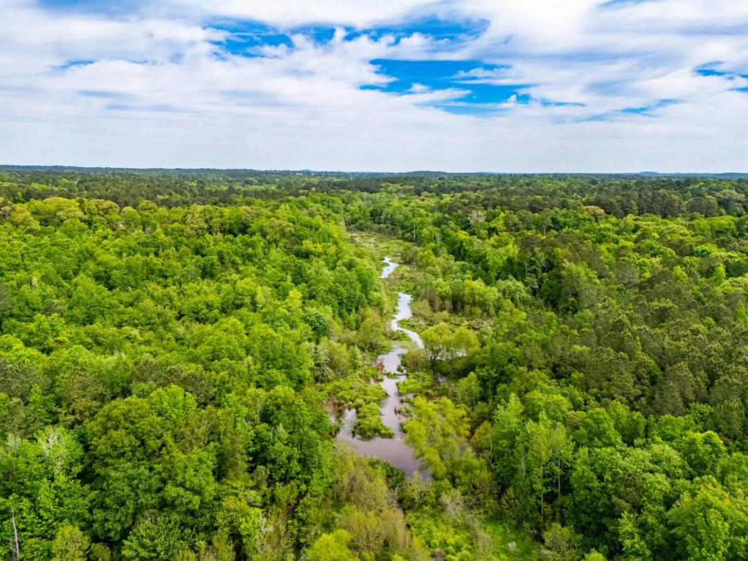 Timber Tract 1 Near Lake Gladewater