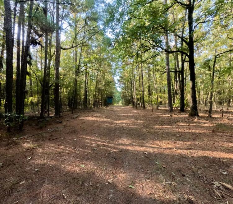 The Plain Dealing Getaway