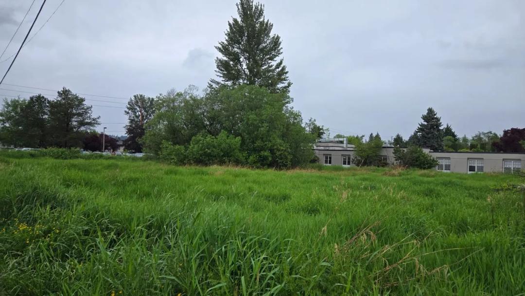 Puyallup - Vacant Lot .489