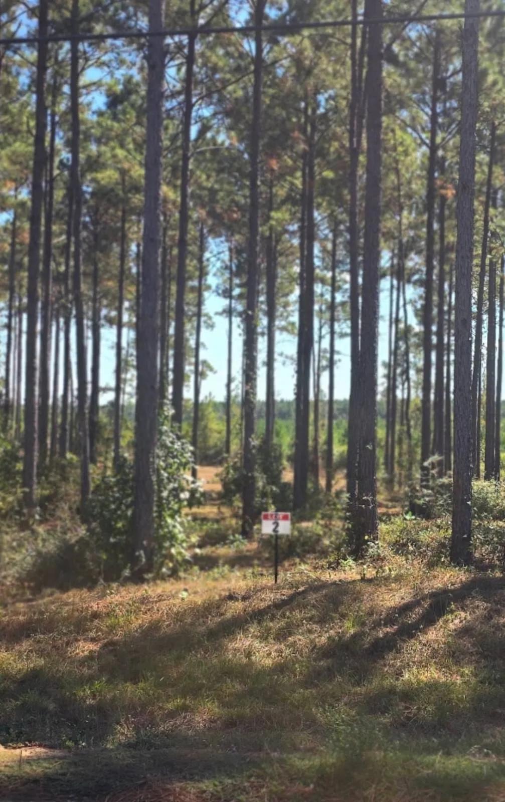 1.07 Acres at 02 Army Recreation Rd