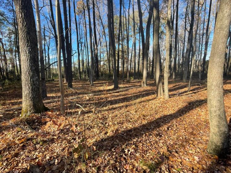 10.00 Acres at  0 Five Farms Dr