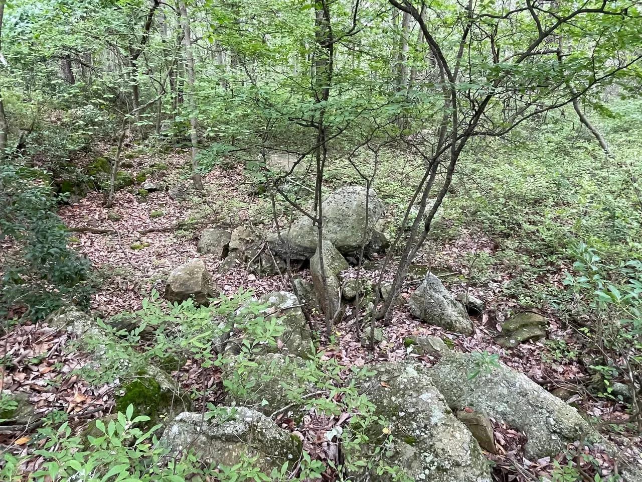67867659-12