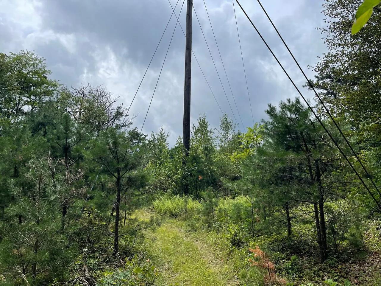 67867659-13