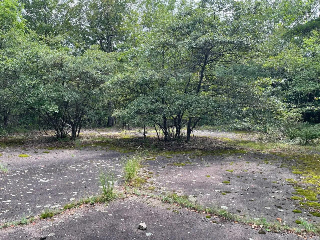 67867659-22