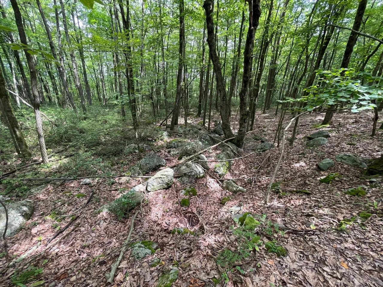 67867659-24