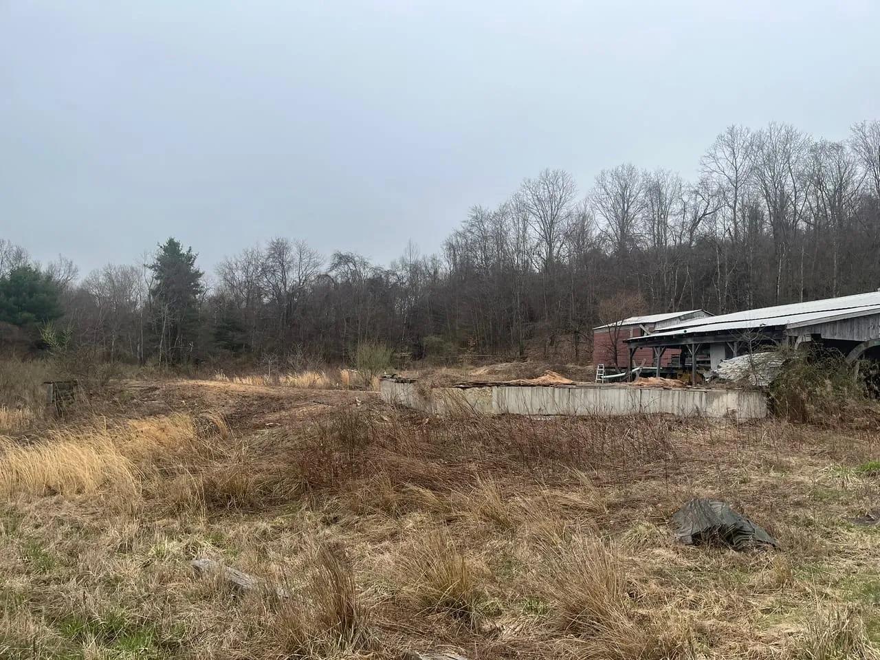 67871747-5
