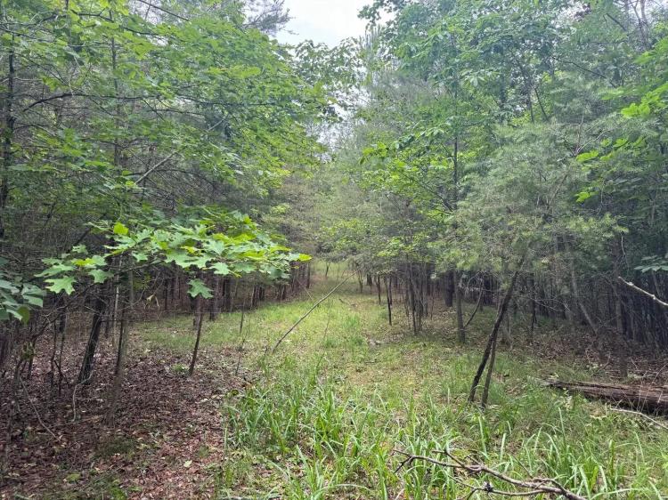 5 +/- Acres- Hall County, Georgia